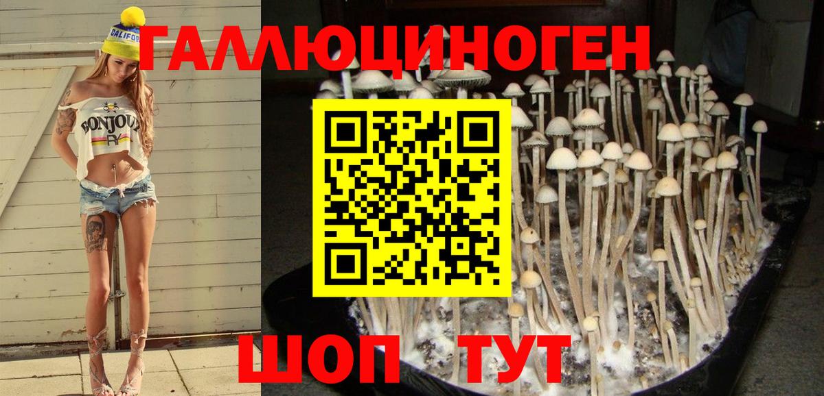 Псилоцибиновые грибы мухоморы  Вход с VPN  Псилоцибиновые грибы Psilocybine cubensis  Армавир 